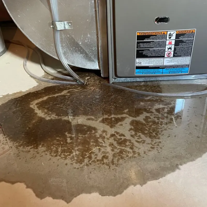 Pipe Burst and Leak Restoration in Chester, WV