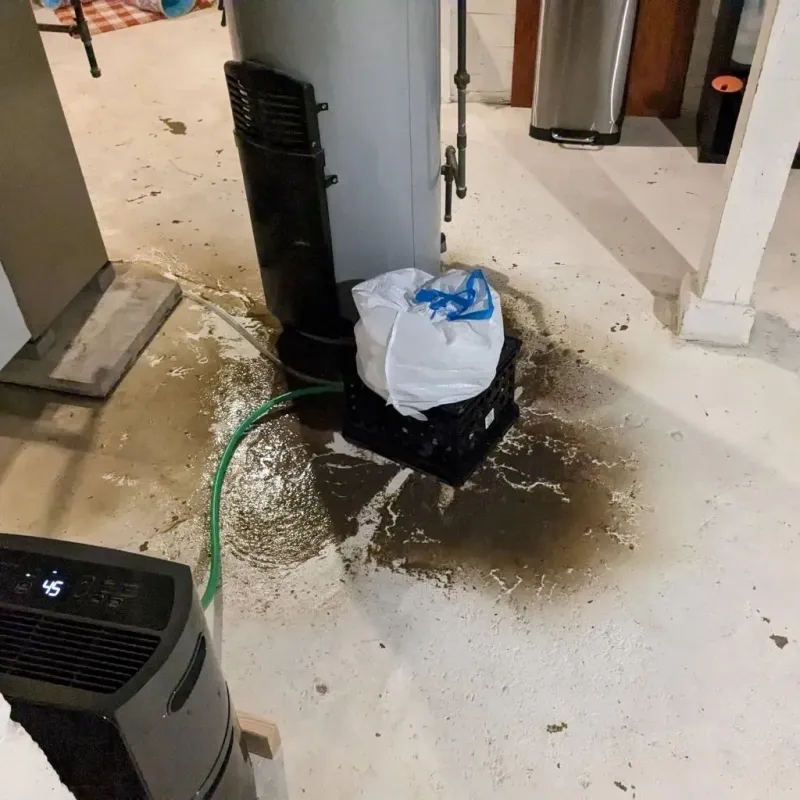 Sewage Backup Cleanup Service in Chester, WV